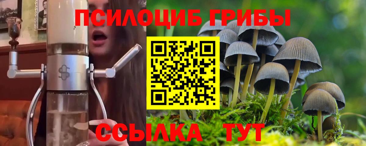 Вольск  Галлюциногенные грибы Psilocybe  Вход с VPN  наркошоп  Галлюциногенные грибы ЛСД 